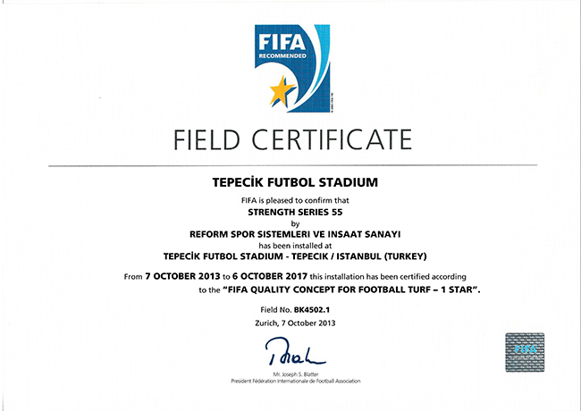 4 fifa1 tepecik stadyumu 2013